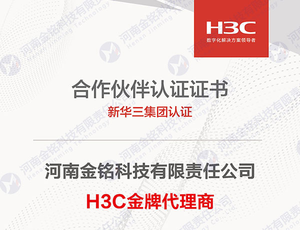 H3C 金 牌代理商